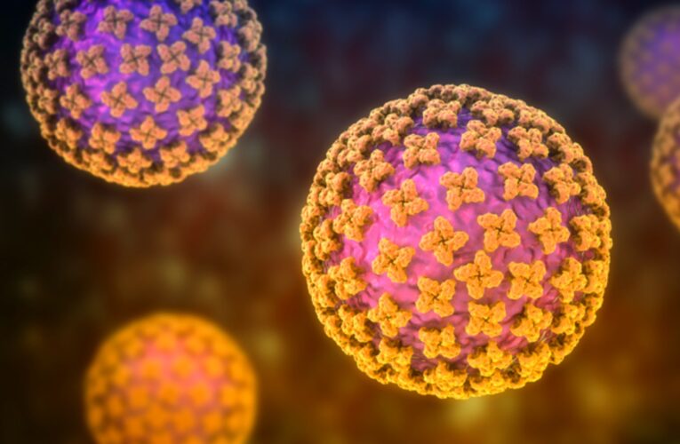 EE.UU. mantiene bajo vigilancia a 41 personas en el país por exposición al hantavirus